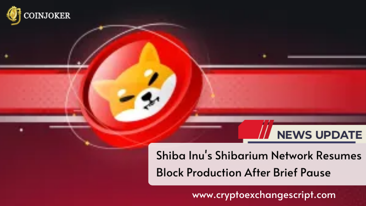 Shiba Inu's Shibarium Network Resumes Block Production After Brief Pause
