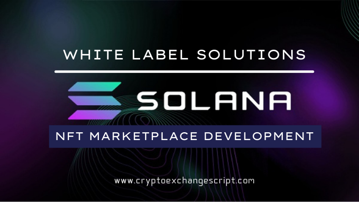 Solana Based NFT Marketplace Development - Coinjoker